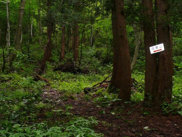 標識も整備されているので迷う心配は無さそうです